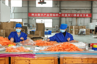 天貓雙11開門紅 產(chǎn)業(yè)帶爆發(fā)式增長，7個(gè)產(chǎn)地首小時(shí)銷售額破億，日用百貨引領(lǐng)消費(fèi)熱潮